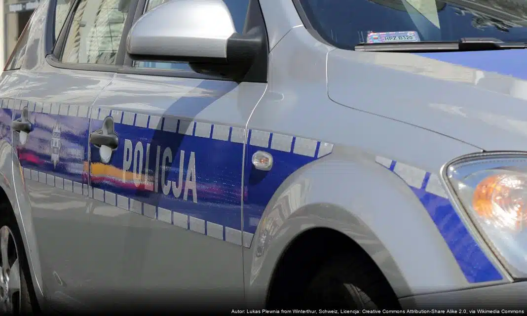 Łańcuccy policjanci w akcji „Choinka 2025” przeciwko nielegalnym praktykom leśnym